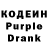 Кодеиновый сироп Lean Purple Drank Alisa Rindina