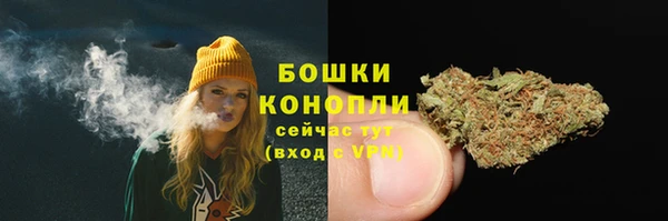 эйфоретик Новокубанск